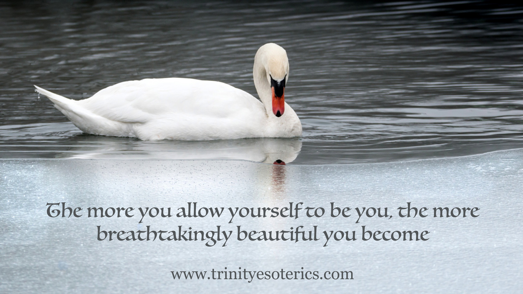 swan beauty trinity esoterics