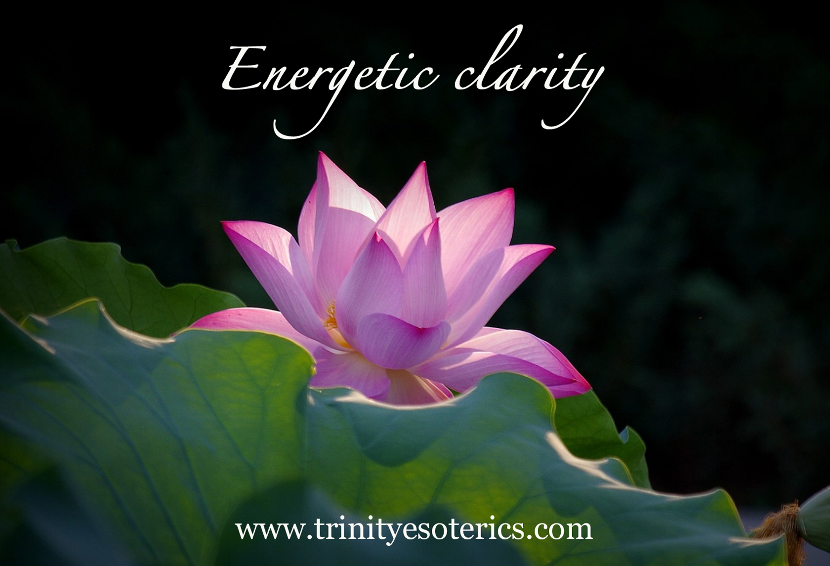 glowing lotus trinity esoterics