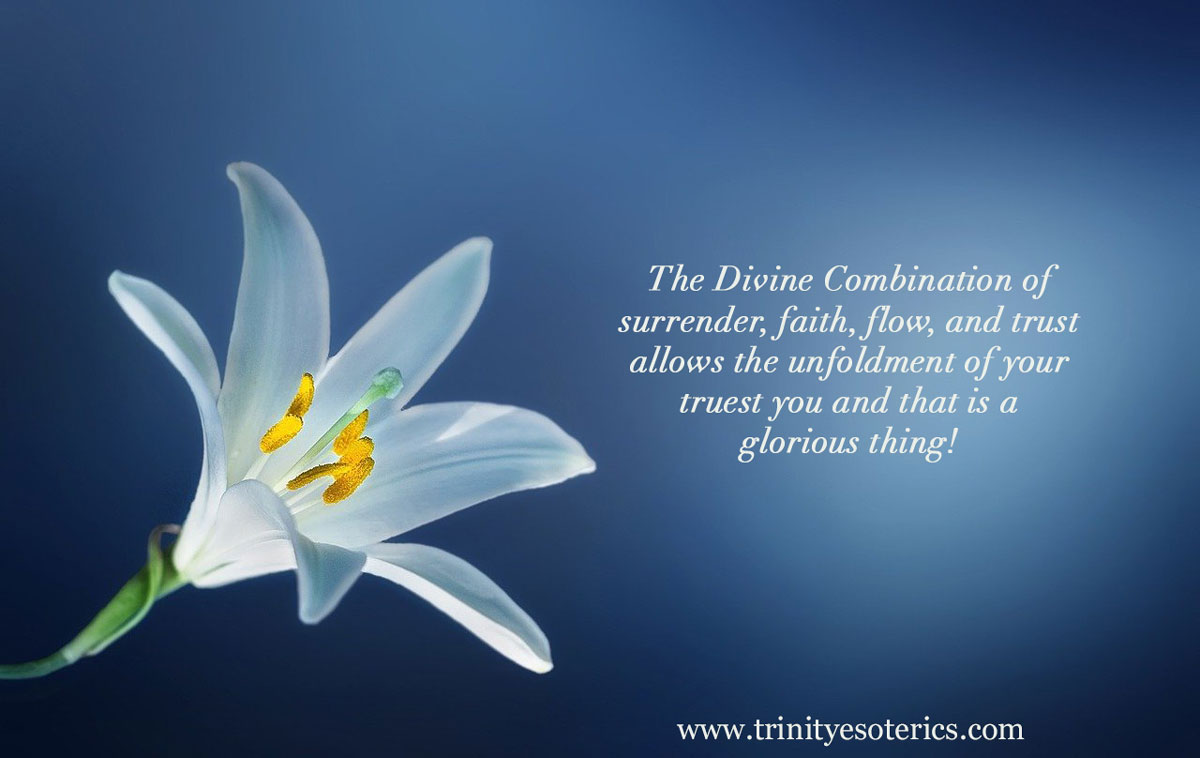 white lily trinity esoterics