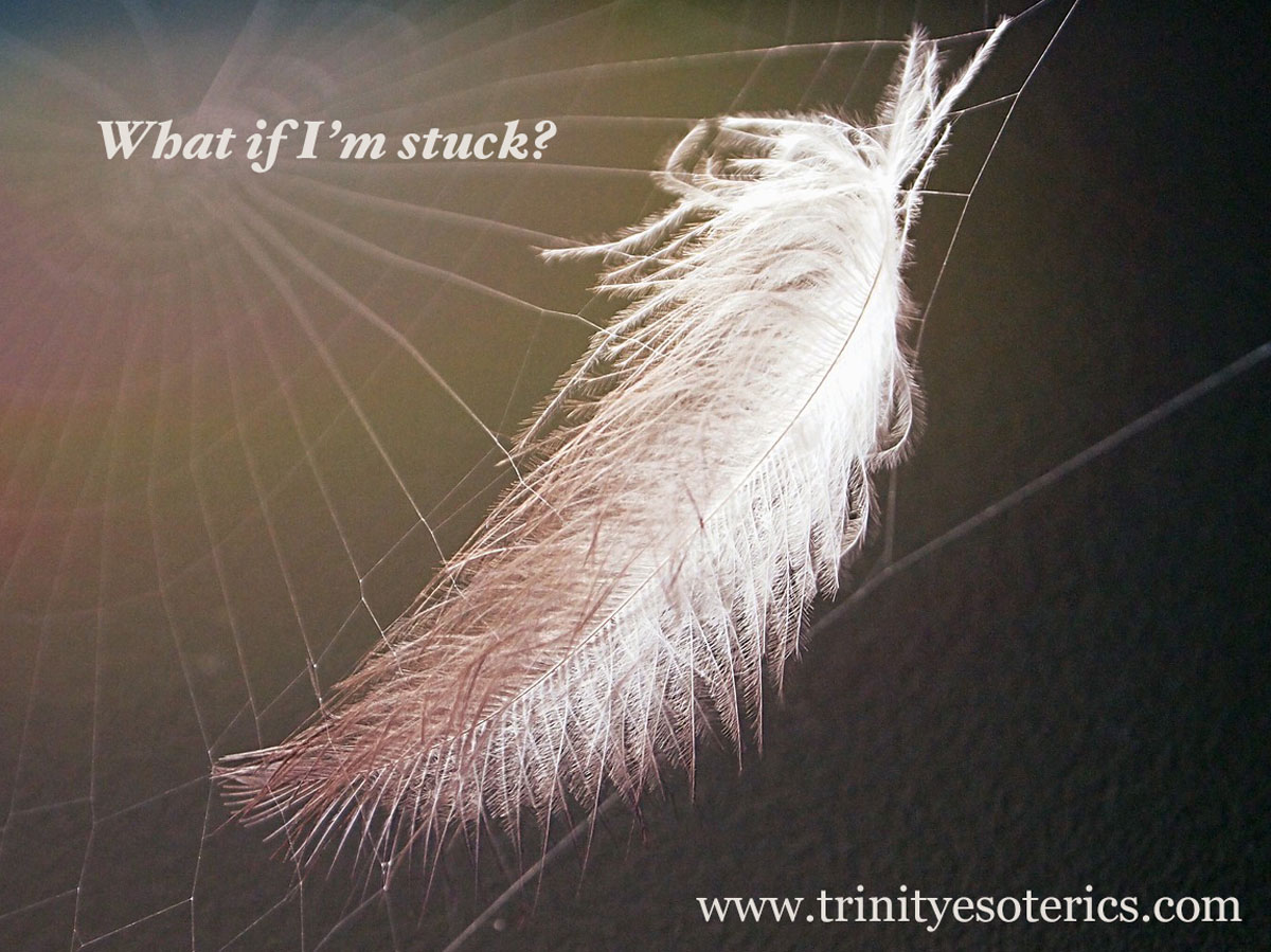 feather in cobweb trinity esoterics