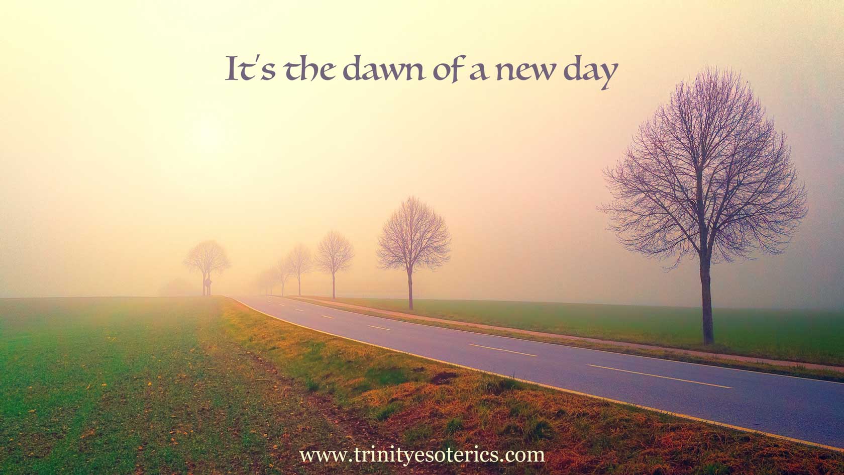 misty morning on road trinity esoterics