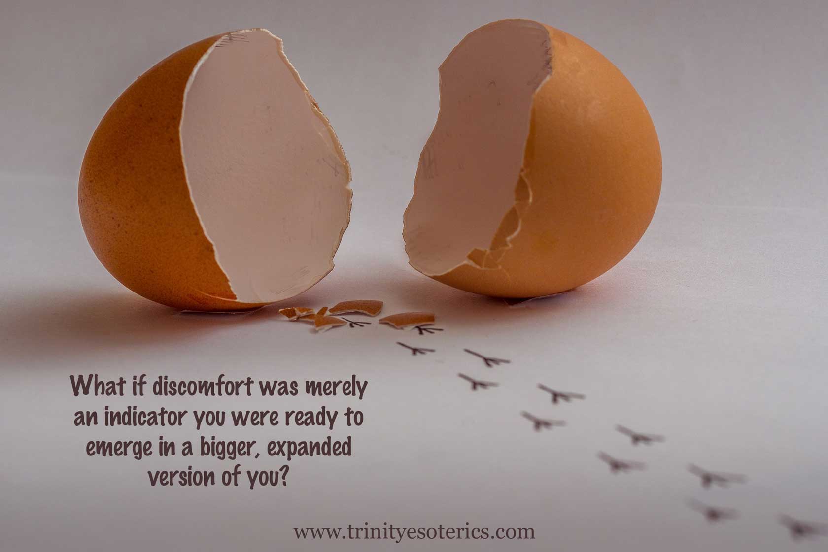 broken egg trinity esoterics