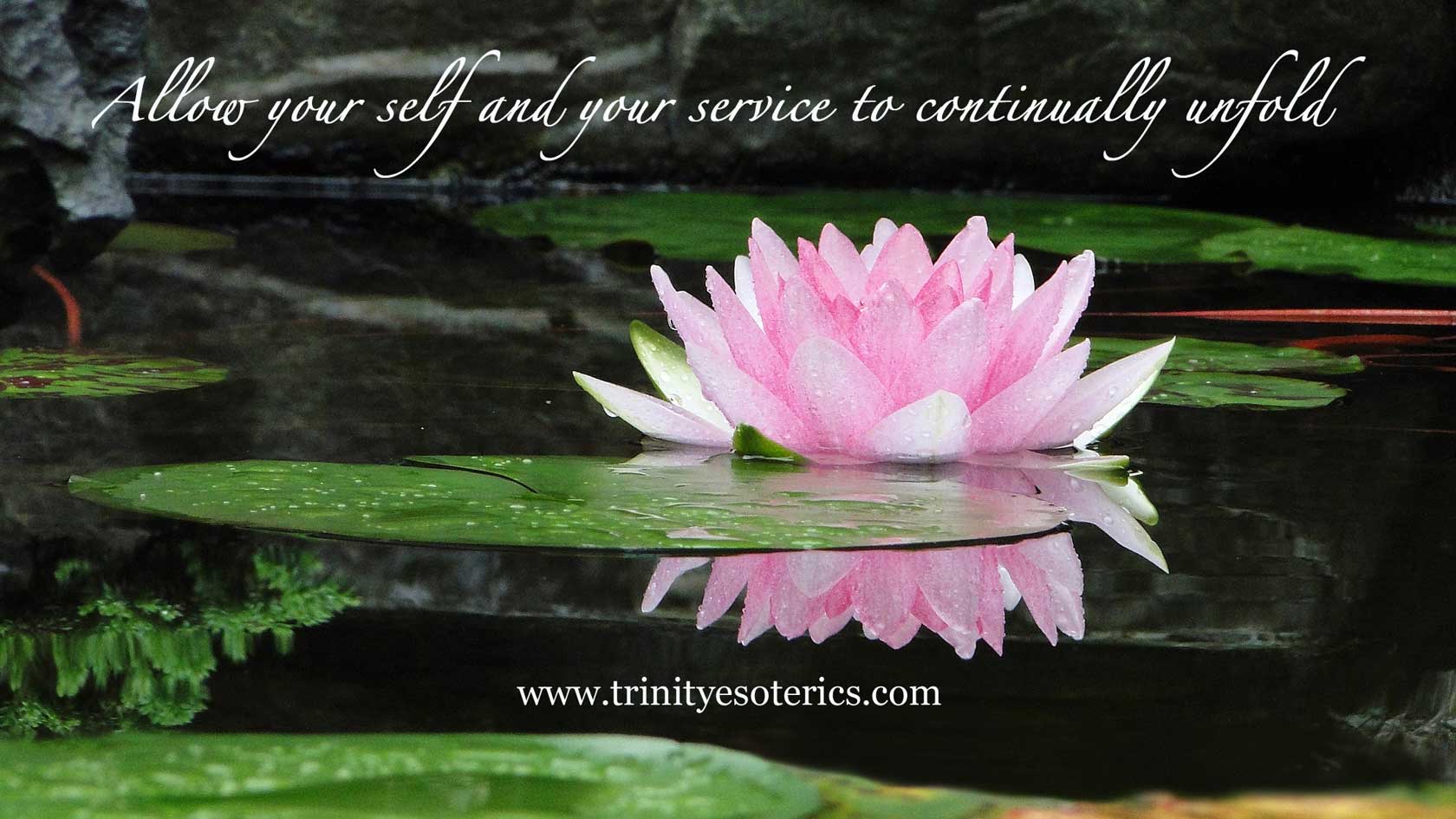 lotus flower trinity esoterics