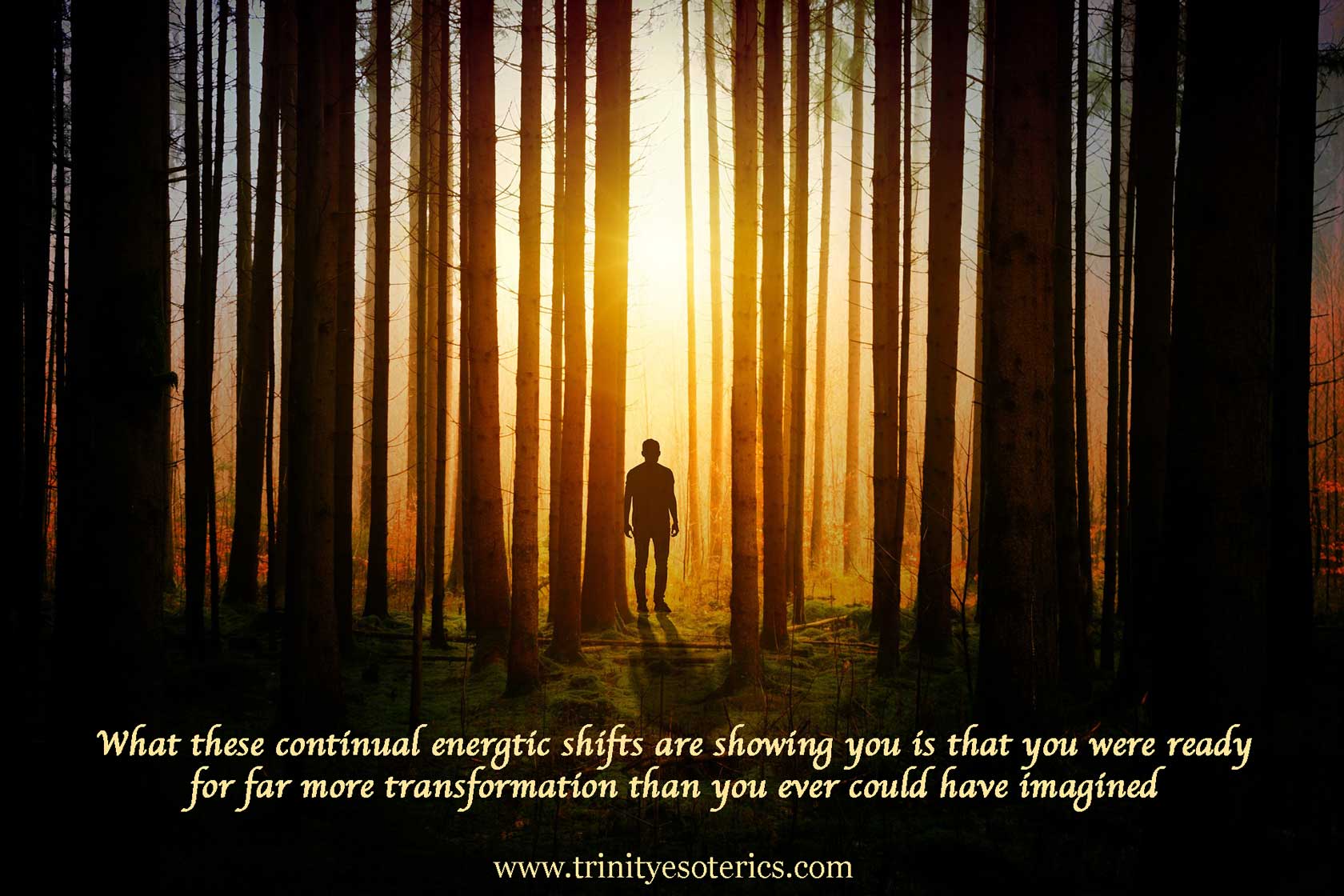 man in forest trinity esoterics