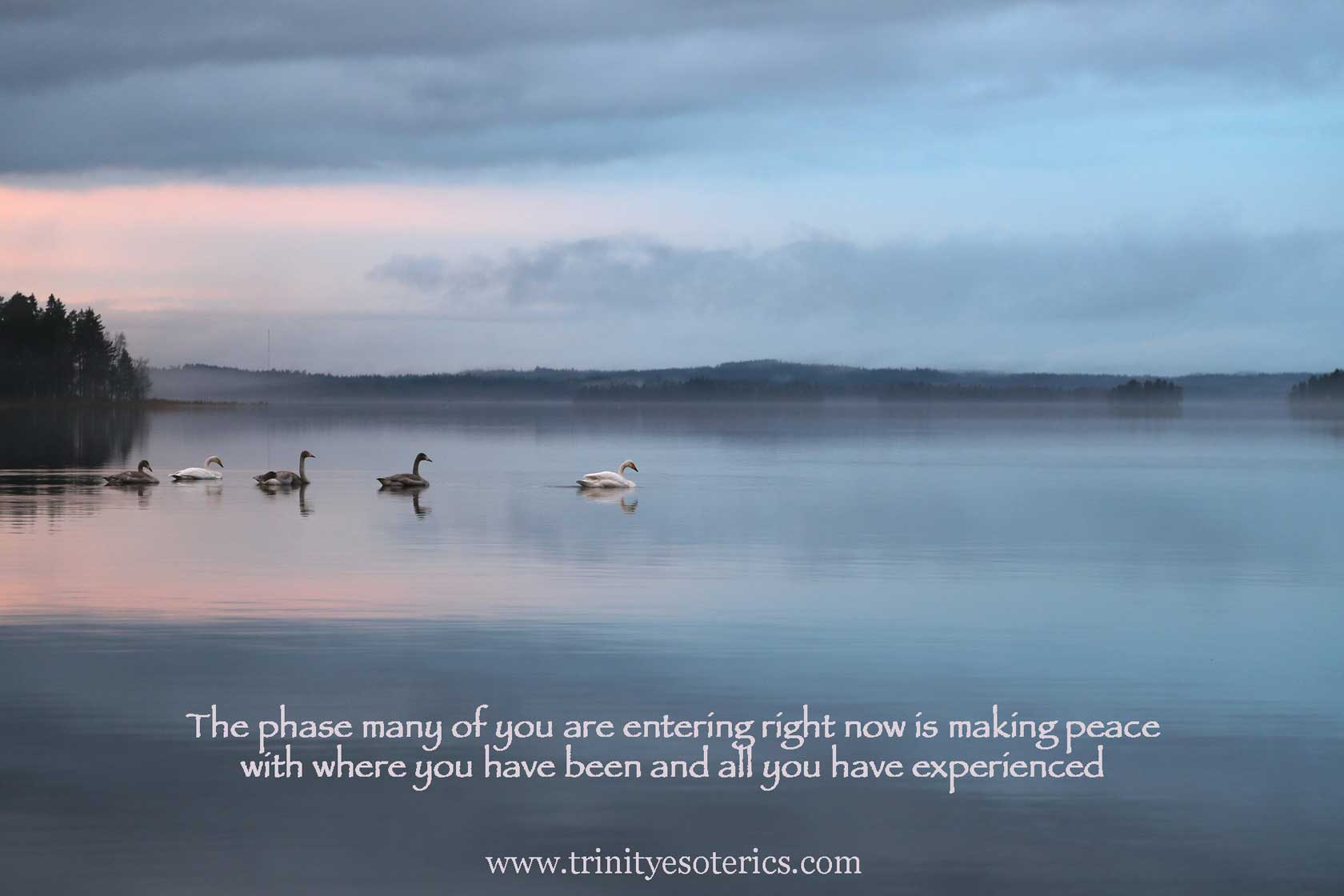 swans on peaceful water trinity esoterics