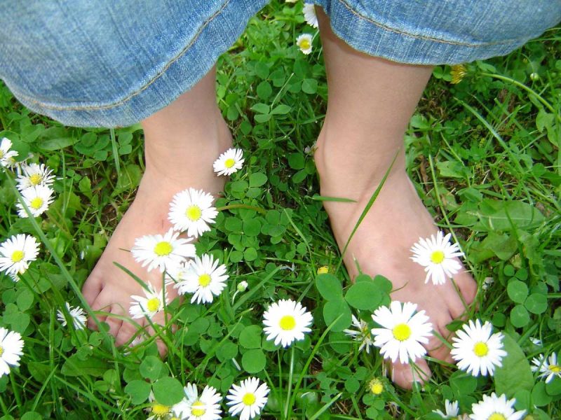 barefeet in clover and daisies trinity esoterics