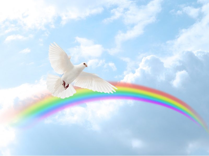 dove and rainbow trinity esoterics