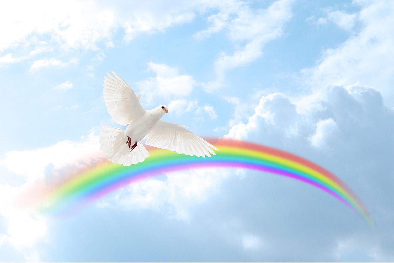dove and rainbow trinity esoterics