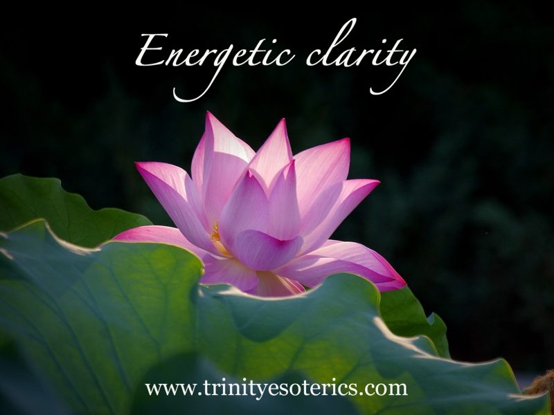 lotus flower lit from within trinity esoterics
