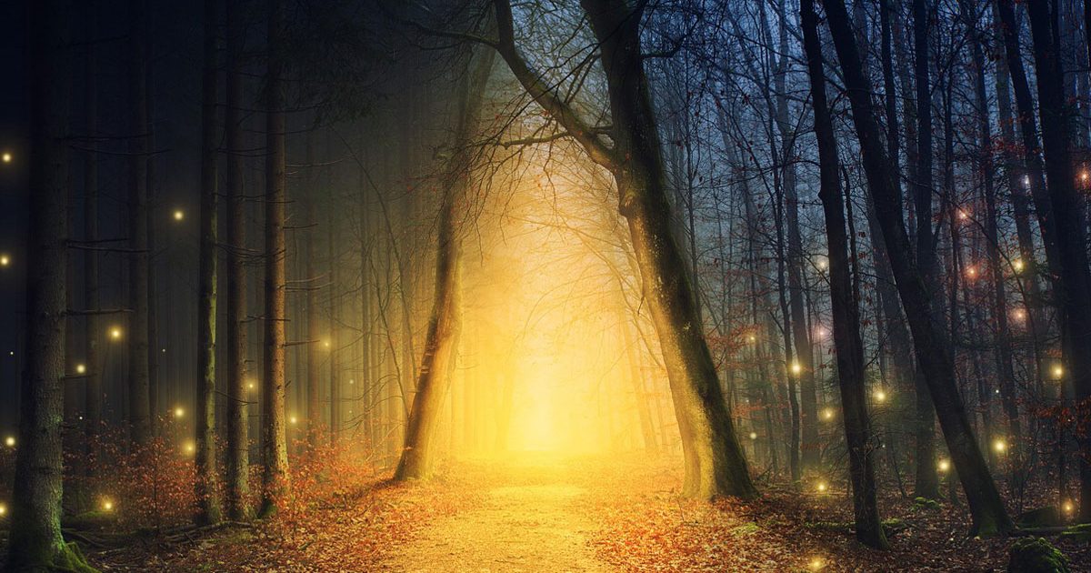 Daily Message ~ Tuesday September 8, 2026