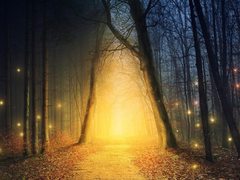 lighted path through dark woods trinity esoterics