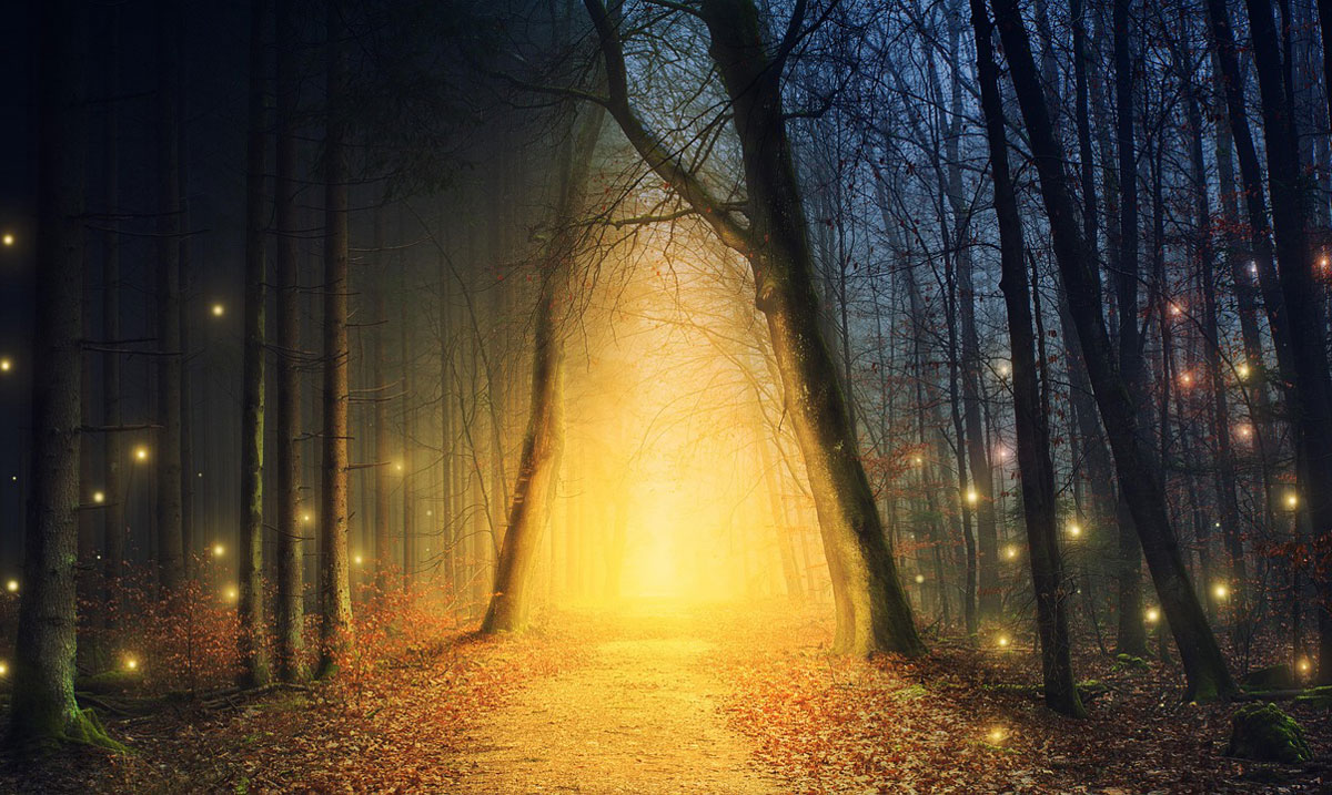 lighted path through dark woods trinity esoterics
