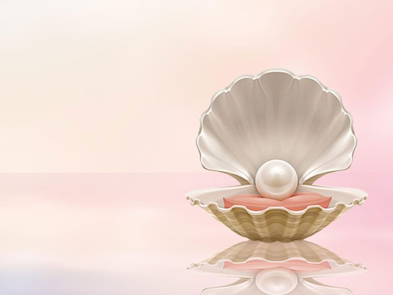 pearl on pillow in shell trinity esoterics